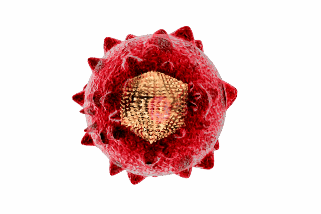 法拉盛丙型肝炎检查 丙肝病毒显微示意图